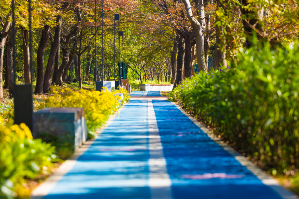 生態(tài)環(huán)境
