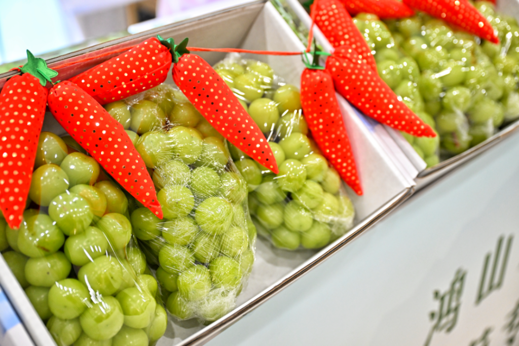 鴻山葡萄專業(yè)合作社鴻山葡萄